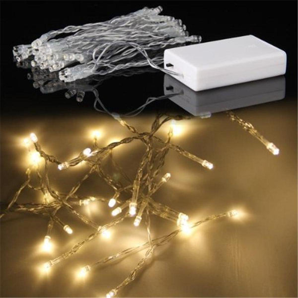 Warm Golden LED Flashing / Blinking Fairy Lights with Controller - 220 V Plug Operated